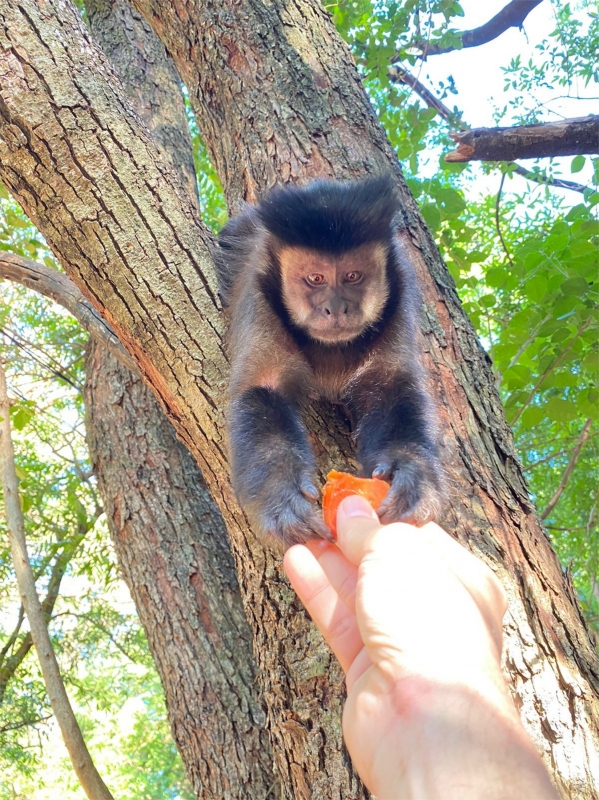 Turismo veja-um-pouco-das-atracoes-do-nosso-municipio